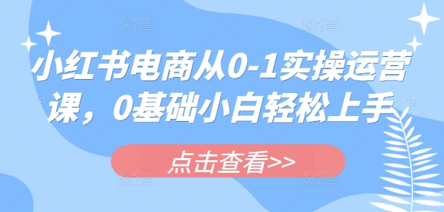 小红书电商从0-1实操运营课，0基础小白轻松上手 - 网创副业项目网-网创副业项目网