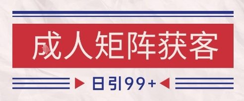 小红书某音橙人赛道引流获客，自热矩阵日引200+【揭秘】 - 网创副业项目网-网创副业项目网