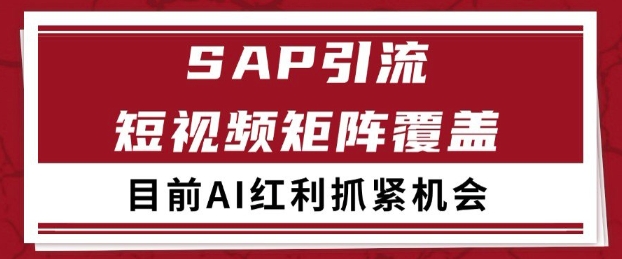 小红书某音sap赛道引流获客 自热矩阵日引200+【揭秘】 - 网创副业项目网-网创副业项目网
