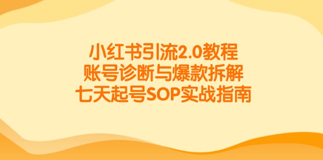 （14981期）小红书引流2.0教程，账号诊断与爆款拆解，七天起号SOP实战指南 - 网创副业项目网-网创副业项目网