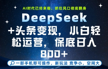 DeepSeek+头条变现，保姆级教学，小白轻松上手，日入8张+【揭秘】 - 网创副业项目网-网创副业项目网