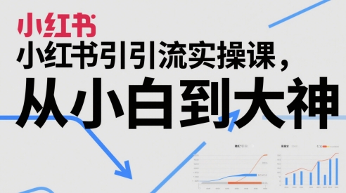 小红书引流实操课，从小白到大神 - 网创副业项目网-网创副业项目网