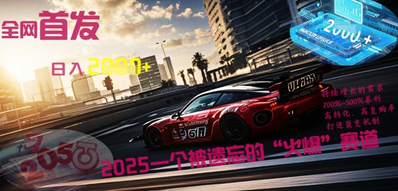 全网首发：2025一个被遗忘的“火爆”赛道轻松日入多张 - 网创副业项目网-网创副业项目网
