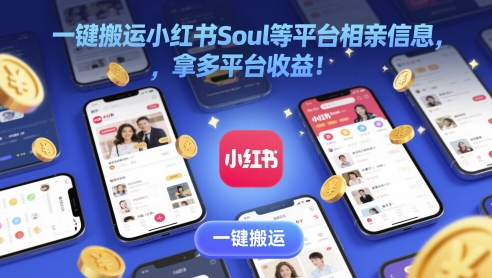 一键搬运小红书Soul等平台相亲信息，拿多平台收益! - 网创副业项目网-网创副业项目网