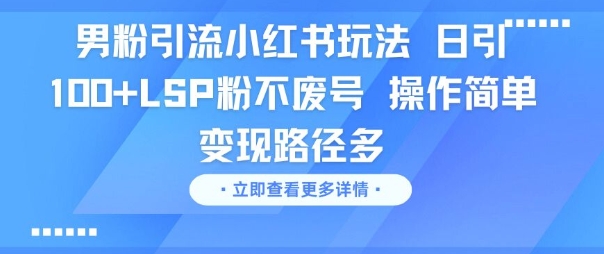 男粉引流小红书玩法，日引100+LSP粉不废号，操作简单，变现路径多 - 网创副业项目网-网创副业项目网