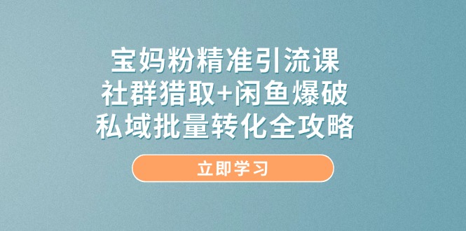 （14820期）宝妈粉精准引流课，社群猎取+闲鱼爆破，私域批量转化全攻略 - 网创副业项目网-网创副业项目网