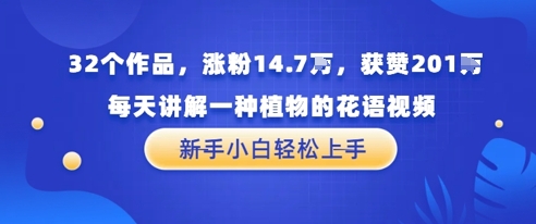 32个作品，涨粉14.7W，获赞201W，每天讲解一种植物的花语视频，无需任何技巧，新手小白轻松上手 - 网创副业项目网-网创副业项目网