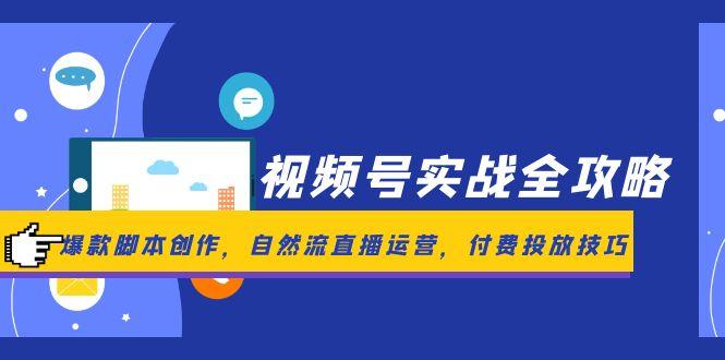 （14925期）视频号实战全攻略，爆款脚本创作，自然流直播运营，付费投放技巧 - 网创副业项目网-网创副业项目网