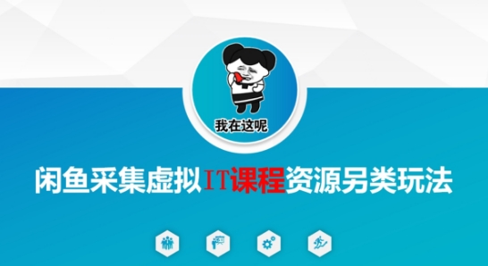 闲鱼采集虚拟IT课程资源另类玩法，干货满满 - 网创副业项目网-网创副业项目网