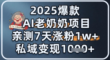 2025爆款 AI 老奶奶项目：亲测 7 天涨粉 1W+，私域变现 1k+ - 网创副业项目网-网创副业项目网