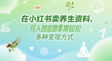 在小红书卖养生资料，月入四位数非常轻松，多种变现方式 - 网创副业项目网-网创副业项目网