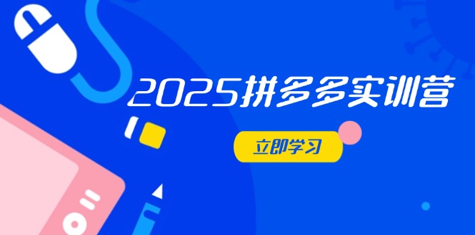 （14531期）2025拼多多实训营：深度剖析运营关键，助力电商人快速提升 - 网创副业项目网-网创副业项目网