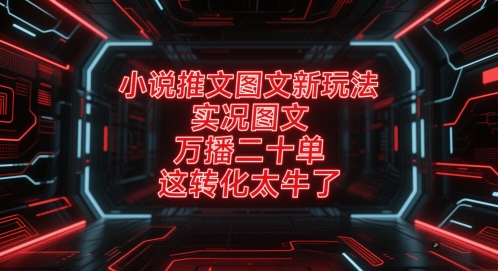小说推文图文新玩法，实况图文，万播二十单，这转化太牛了！ - 网创副业项目网-网创副业项目网