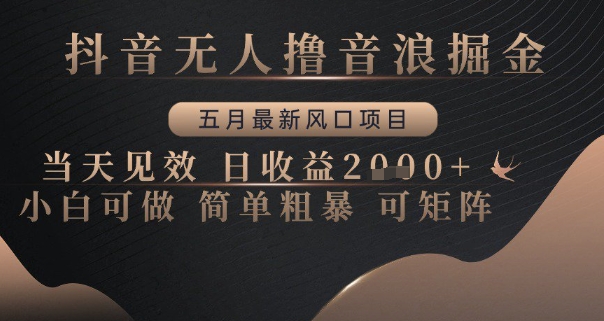 抖音无人撸音浪掘金，五月最新风口项目，当天见效，日收益多张，小白可做简单粗暴可矩阵【揭秘】 - 网创副业项目网-网创副业项目网