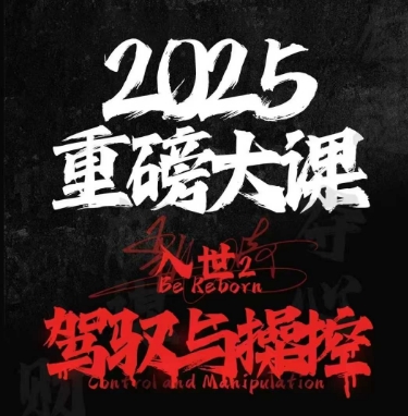 2025重磅大课，入世2，驾驭与控制 - 网创副业项目网-网创副业项目网