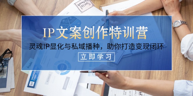 （14330期）IP文案创作特训营，灵魂IP显化与私域播种，助你打造变现闭环（14节课） - 网创副业项目网-网创副业项目网