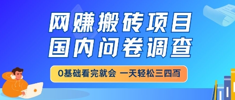 网创搬砖项目，国内问卷调查，小白轻松上手，一天三四张的也不难，干就完了【揭秘】 - 网创副业项目网-网创副业项目网
