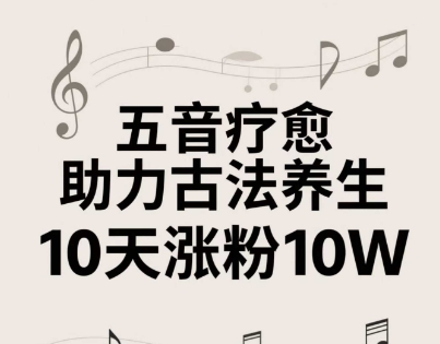 古法五音养生教程，五音疗愈的视频的制作方法，2-4小时就能学会，作者10天涨粉10W - 网创副业项目网-网创副业项目网