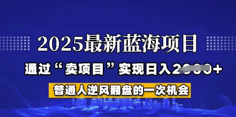 2025年首次揭秘如何通过“网创项目”日入多张【揭秘】 - 网创副业项目网-网创副业项目网