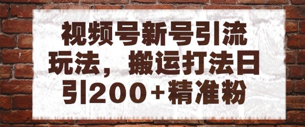 视频号新号引流玩法，搬运打法日引200+精准粉，可矩阵放大【揭秘】 - 网创副业项目网-网创副业项目网