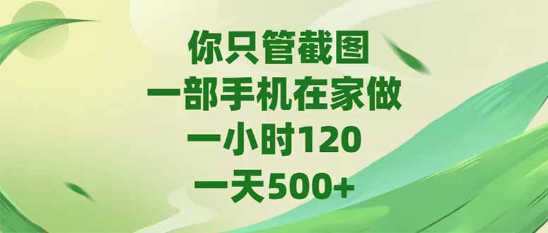 （15039期）你只管截图，一部手机在家做，一小时120，-天500+ - 网创副业项目网-网创副业项目网