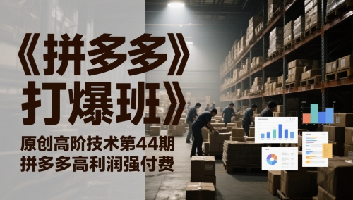 《拼多多打爆班》原创高阶技术第44期，拼多多高利润强付费 - 网创副业项目网-网创副业项目网