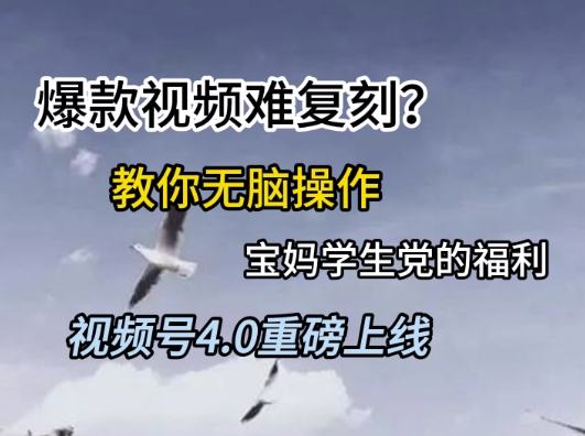 视频号4.0重磅上线，爆款视频难复刻？教你无脑操作宝妈学生党的福利【揭秘】 - 网创副业项目网-网创副业项目网