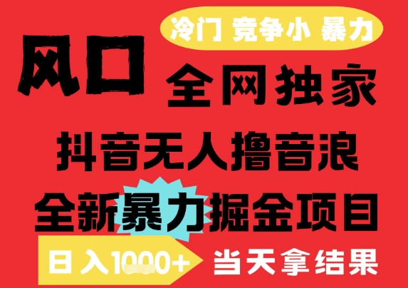 25年6月高爆抖音无人直播最新撸音浪掘金项目，解放双手小白可做，无脑日入1k+，门槛低【揭秘】 - 网创副业项目网-网创副业项目网
