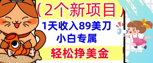 2个新项目，轻松挣美金， 1天收入89美刀，小白专属，干货分享 - 网创副业项目网-网创副业项目网