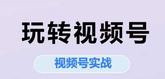 玩转视频号，视频号实战系列课 - 网创副业项目网-网创副业项目网