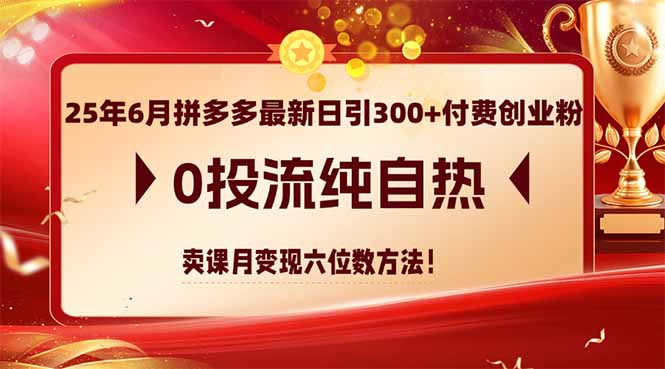 （14989期）25年6月拼多多最新日引300+付费创业粉，0投流纯自热 卖课月变现六位数方法 - 网创副业项目网-网创副业项目网