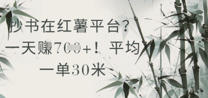 抄书在小红薯平台？平均一单30米，一天收益几张！ - 网创副业项目网-网创副业项目网