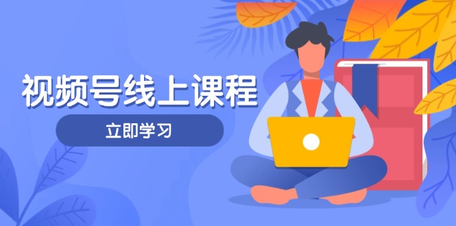 （14360期）视频号实战课程，轻IP打造与运营技巧，掌握核心方法与策略 - 网创副业项目网-网创副业项目网