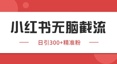 小红书截流同行客源，独家野路子获客玩法 日引200+暴力获客【揭秘】 - 网创副业项目网-网创副业项目网