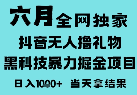 25年6月高爆抖音无人直播最新撸音浪掘金项目，门槛低小白可做，无脑日入1k，可矩阵放大【揭秘】 - 网创副业项目网-网创副业项目网