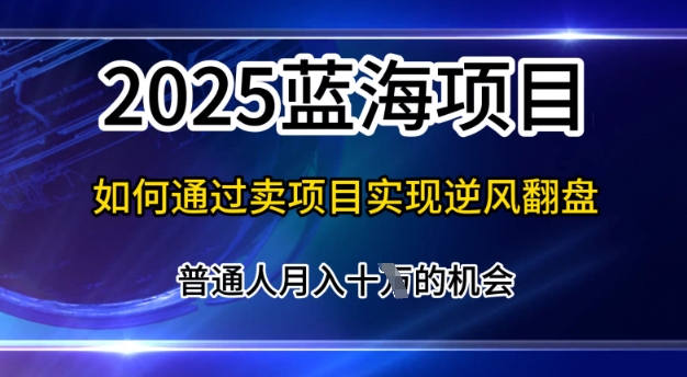 2025蓝海项目，普通人如何通过卖项目实现逆风翻盘，月入10个【揭秘】 - 网创副业项目网-网创副业项目网