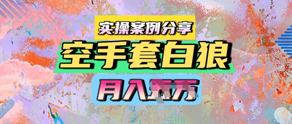 空手套白狼，月入过1W，实操案例分享 - 网创副业项目网-网创副业项目网