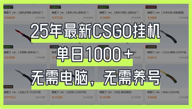 （14178期）25年最新CSGO挂机系统，单日1000+，无需电脑，无需养号，0基础可上手 - 网创副业项目网-网创副业项目网