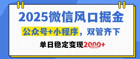 2025微信风口掘金，公众号+小程序双管齐下，单日稳定变现1k+【揭秘】 - 网创副业项目网-网创副业项目网