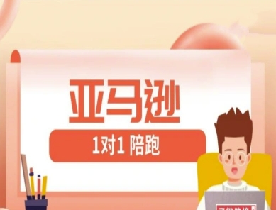 亚马逊1对1陪跑课(FBA/FBM精铺)跨境亚马逊教程 - 网创副业项目网-网创副业项目网