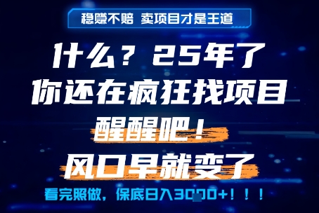 什么？25年你还在疯狂找项目做，醒醒吧，看完这些你全都懂了！【揭秘】 - 网创副业项目网-网创副业项目网