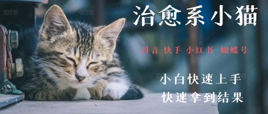 拆解，疯狂火爆！抖音，小红书，视频号小猫治愈的视频，轻松制作+快速拿到结果 - 网创副业项目网-网创副业项目网