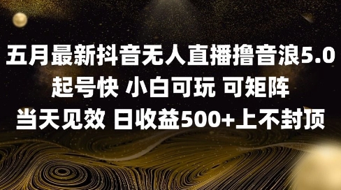 2025五月最新无人直播撸音浪单日产出5张+实操教程【揭秘】 - 网创副业项目网-网创副业项目网