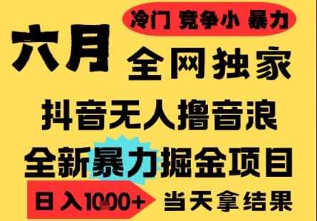 25年6月高爆抖音无人直播最新撸音浪掘金项目，小白可做，无脑日入1k+，门槛低可批量矩阵【揭秘】 - 网创副业项目网-网创副业项目网