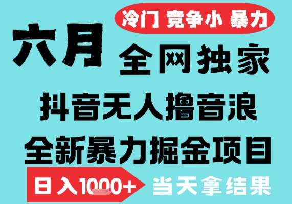 2025年6月高爆抖音无人直播最新撸音浪掘金项目，无脑日入1k+，低门槛小白可做，可矩阵放大【揭秘】 - 网创副业项目网-网创副业项目网