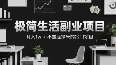 极简生活副业项目，月入1w+不露脸挣米的冷门项目 - 网创副业项目网-网创副业项目网