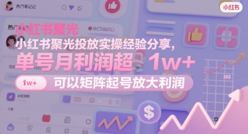 小红书聚光投放实操经验分享，单号月利润超1w+，可以矩阵起号放大利润 - 网创副业项目网-网创副业项目网
