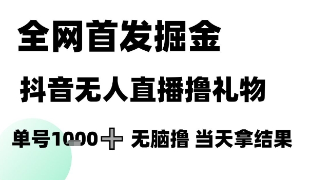 全网首发掘金抖音无人直播撸礼物，单号1k +无脑撸，当天拿结果【揭秘】 - 网创副业项目网-网创副业项目网