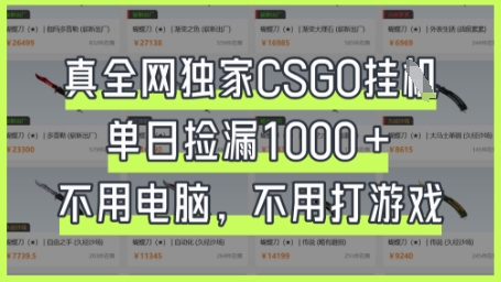 真全网独家CSGO挂G，单日捡漏1k+【揭秘】 - 网创副业项目网-网创副业项目网