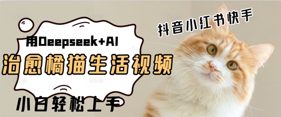 疯狂火爆，用Deepseek+AI做治愈橘猫系列视频，小白轻松制作+快速拿到结果 - 网创副业项目网-网创副业项目网